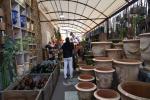 2025 04 11 Isle Sorgue 080
